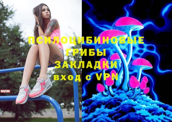 PSILOCYBIN Алзамай