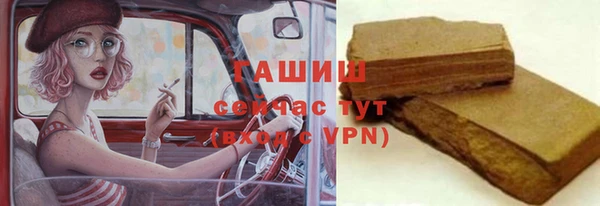 PSILOCYBIN Алзамай