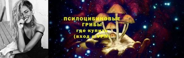 2c-b Пересвет