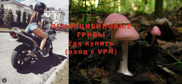 PSILOCYBIN Алзамай