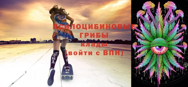 PSILOCYBIN Алзамай