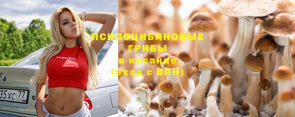 ALPHA PVP Алексин